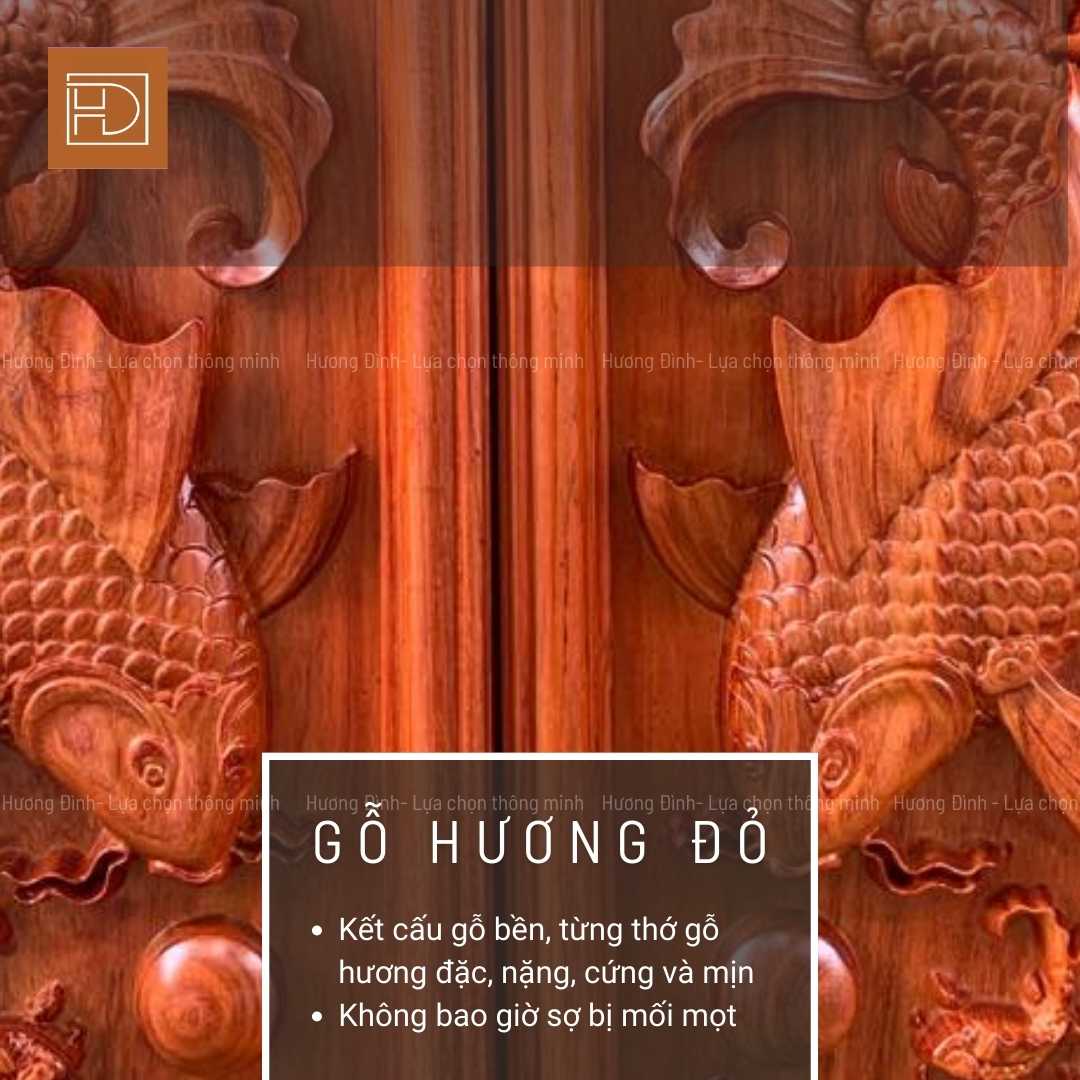 Cận cảnh vân gỗ của gỗ hương đá làm tranh lý ngư vọng nguyệt