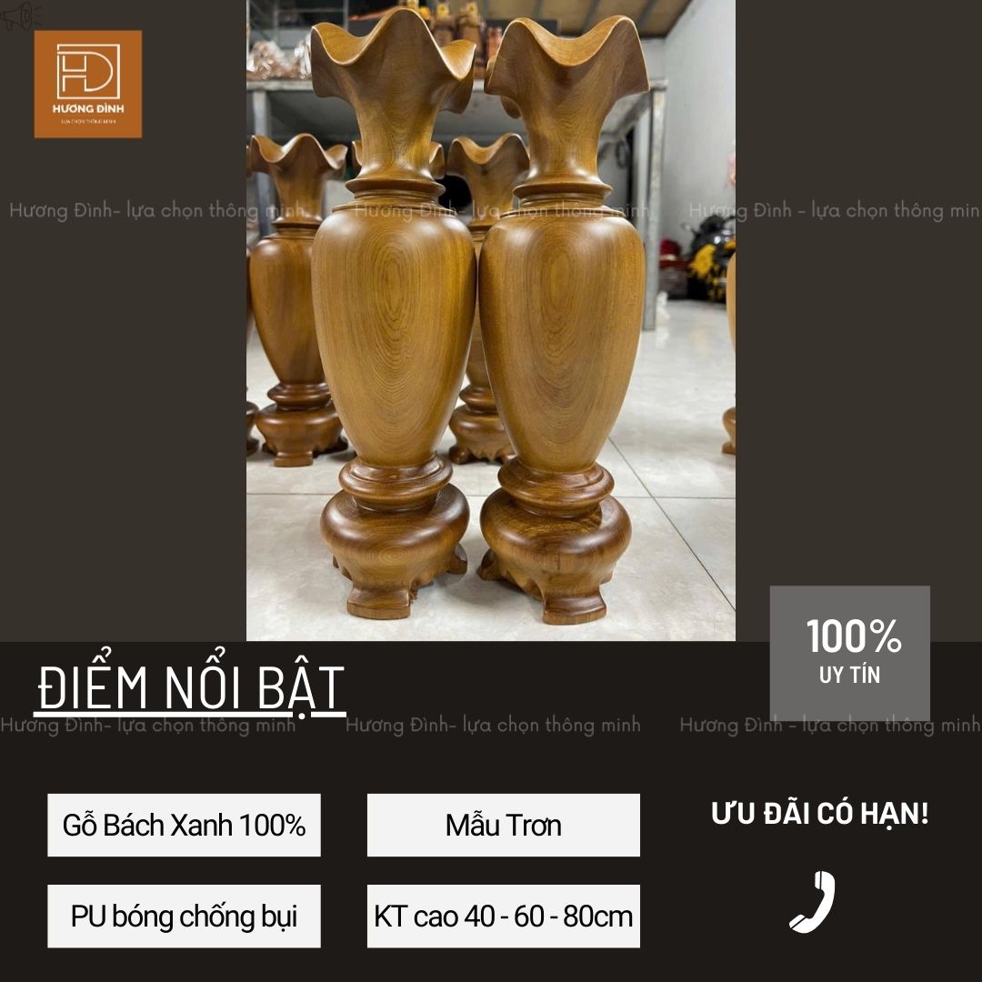 Lục Bình Gỗ Bách Xanh Cao 40-80cm Hàng Nguyên Khối (4)